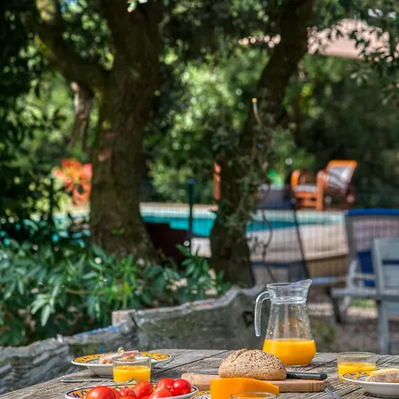 Glamping Tent Joy Vélieux