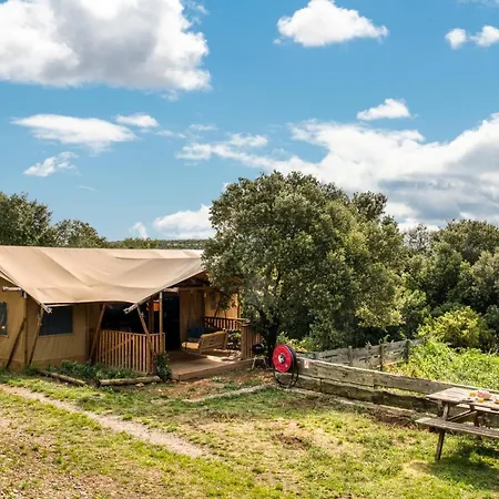 Glamping Tent Joy Campismo de Luxo