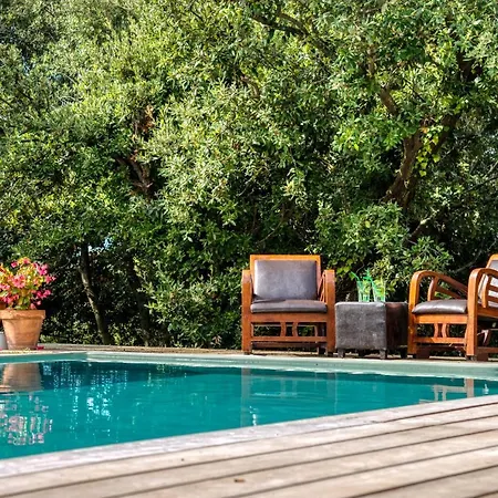 ラグジュアリーテント Glamping Tent Joy