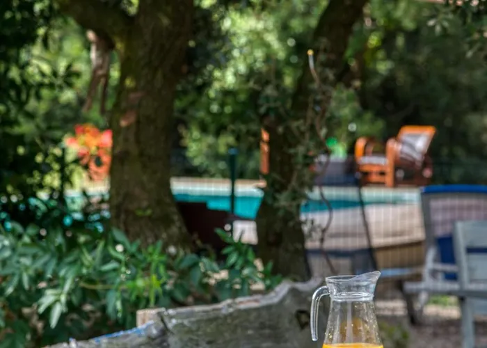 Glamping Tent Joy Velieux