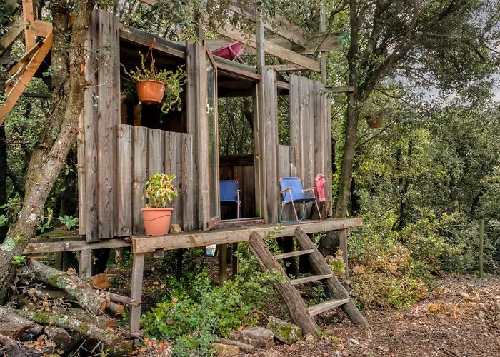 Glamping Tent Joy Luxury tent Velieux